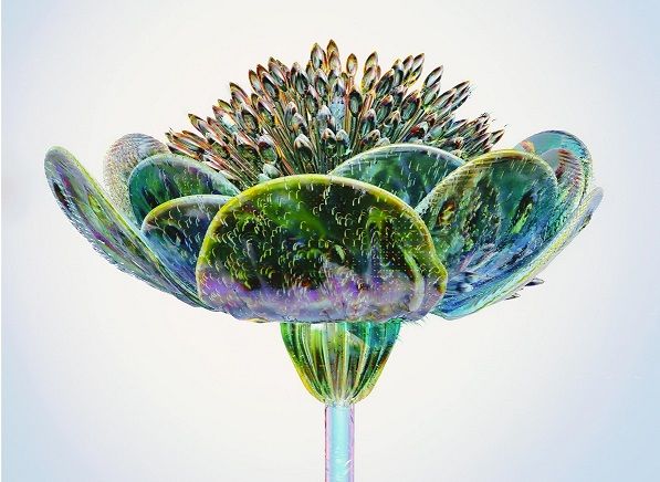 Nachhaltigkeit durch Digitalisierung